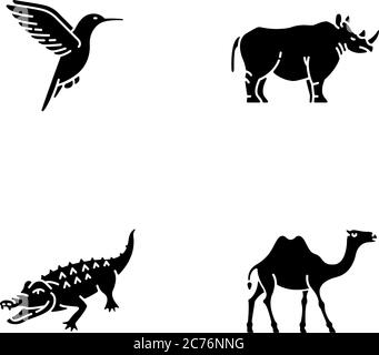 Exotic animals black glyph icons set on white space. Tropical fauna, diverse african wildlife silhouette symbols. Little hummingbird, camel, alligator Stock Vector