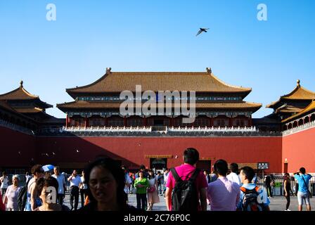 A view of inside the Forbidden City in Beijing, China on a sunny day with blue sky and some crowd of tourists, a bird passing by. Stock Photo