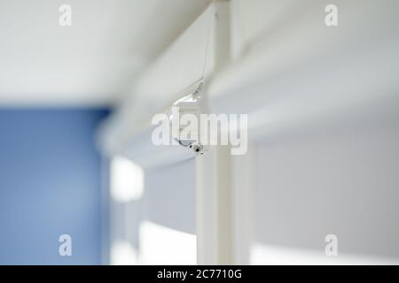 Man installing cassette roller blinds on windows Stock Photo