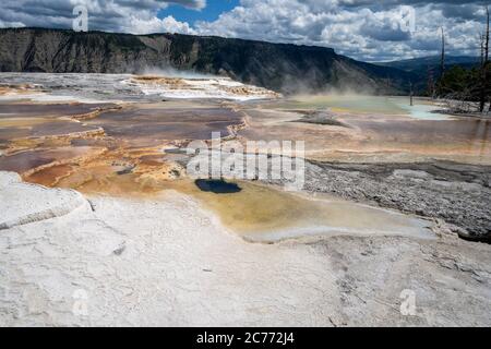 Colorful Canary Spring in the upper terraces of Mammoth Hot Springs area of Yellowstone National Park Wyoming Stock Photo