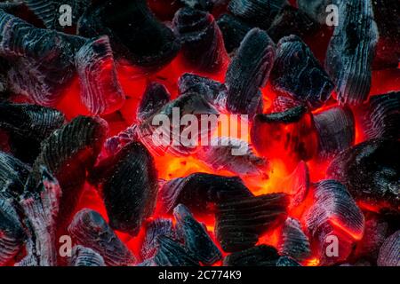 Hot coals burning orange in campfire with ash Stock Photo