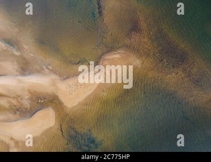 Waves on the yellow sandy beach ocean coast, view from the height Stock Photo