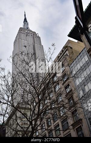 Looking upwards on an overcast day, through a leafless tree at the Empire State building.  Other buildings are in view next to the Empire State. Stock Photo