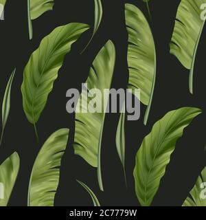 Realistic colorful tropical banana palm leaves vector seamless pattern. Jungle botanical summer background. Exotic green nature wallpaper. Stock Vector