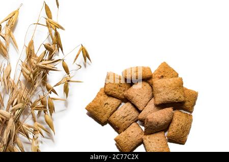 Dietary cereal pads on a white background. Branch of dry oats and cereal pads isolated on a white background. Healthy eating example Stock Photo