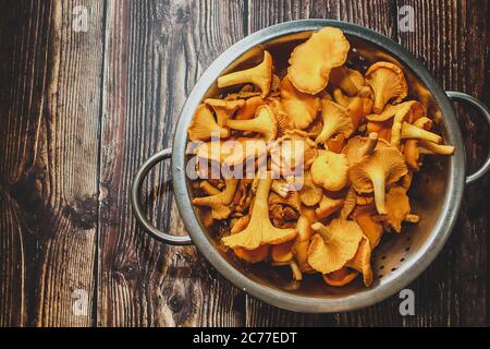 Forest chanterelles on a wooden background. Fresh mushrooms for cooking. Stock Photo