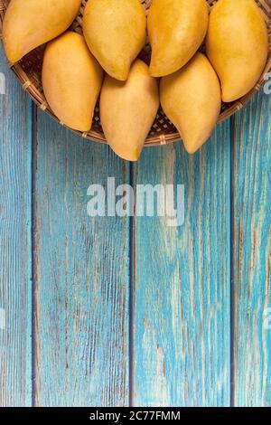 Yellow Fresh mangos 0n blue wood table. Mango tropical fruit on wood background. mangos with copy space for text or design. summer concept. Stock Photo