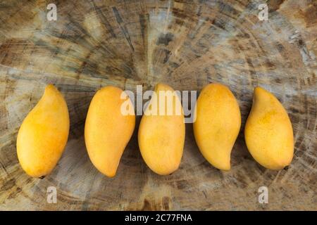 Yellow Fresh mangos on real wood table. Mango tropical fruit on wood background. 5 mango with copy space for text or design. Stock Photo