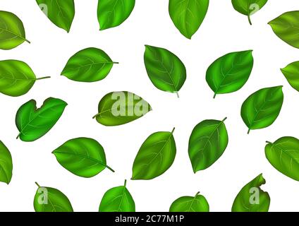 Seamless background with colorful realistic summer green leaves. Perfect for wallpaper, gift paper, pattern fills, web page background, spring summer Stock Vector