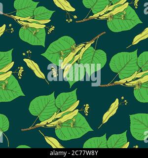 Seamless pattern with linden flowers and leaves. Vector illustration Stock Vector