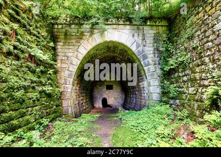 Old abandoned tunnel in the underground wine cellar. Stock Photo