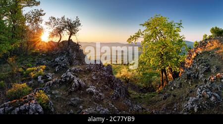 Sunny morning in mountain. Beautiful landscape composition. Stock Photo