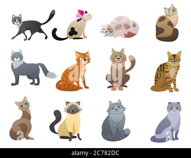 Vector Funny and cute cartoon Cat different breeds pet characters set Stock Vector