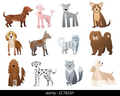 Vector Funny and cute cartoon dogs and puppy pet characters set Stock Vector