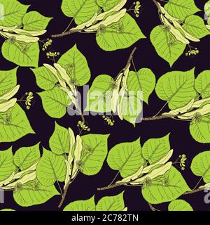 Seamless pattern with linden flowers and leaves. Vector illustration Stock Vector