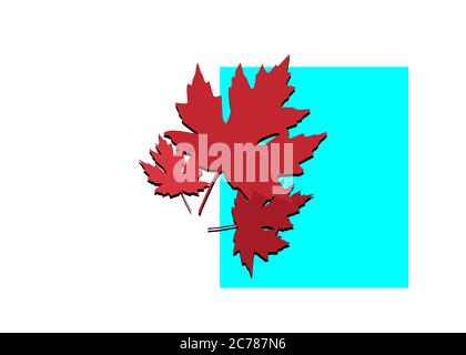 autumn set maple red leafs vector isolated on white background. Logo design nature concept Stock Vector