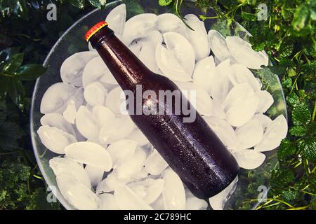 beer bottles with drops on ice cubes, brown bottles Stock Photo