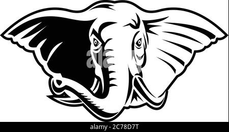 Black and white retro mascot style illustration of an elephant with long  tusks viewed from front on isolated white background Stock Vector Image &  Art - Alamy