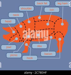 Cutting pork meat cuts diagram chart, conceptual vector Stock Vector