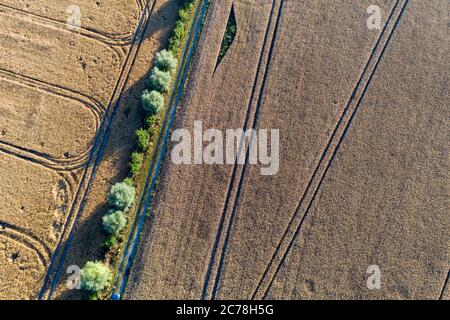 Grabow, Germany. 11th July, 2020. A row of trees cuts through two grain fields. (aerial photo with drone) Credit: Stephan Schulz/dpa-Zentralbild/ZB/dpa/Alamy Live News Stock Photo