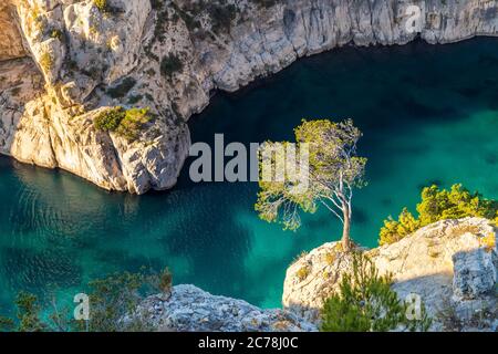 Elevated view down to the calanque d'En Vau, Cassis, Provence, France, Europe Stock Photo