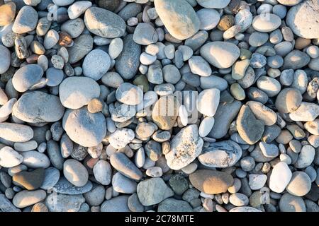 White and Gray Color Pebbles on a Beach for a Background Stock Photo