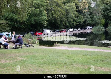 Keston Ponds,Kent,UK,15th July 2020,People visit Keston Ponds despite cloudy weather and grey skies. Families enjoyed a picnic as children played and ate ice cream, even the dogs enjoyed running around on the grass by the ponds.Credit:Keith Larby/Alamy Live News Stock Photo