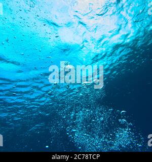 Bubbles underwater, Silk Caye, Placencia, Belize Stock Photo