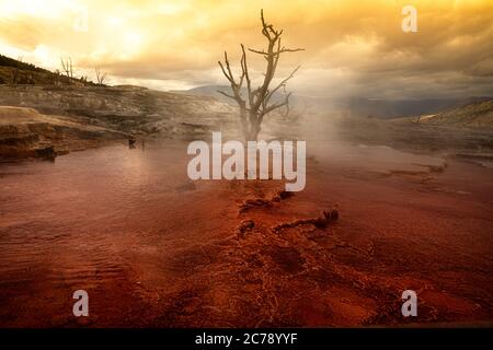 Surreal dramatic extraterrestrial landscape, Mammoth Hot Springs, Yellowstone National Park Stock Photo