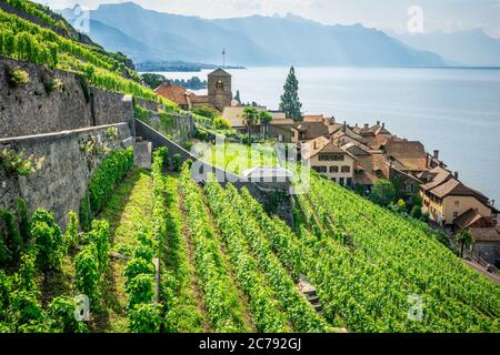 Scenic panorama of Lavaux with the Saint-Saphorin village green terraced vineyards and Geneva lake surrounded by mountains in Lavaux Vaud Switzerland Stock Photo