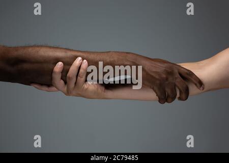 Helping hands. Racial tolerance. Respect social unity. African and caucasian hands gesturing on gray studio background. Human rights, friendship, intenational unity concept. Interracial unity. Stock Photo