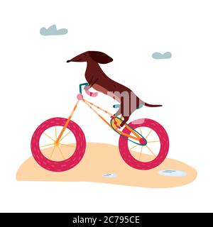 A vector illustration of a cute Dachshund wiener dog on a bicycle. Summertime illustration Stock Vector