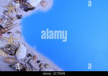 mix of seashells on sand and blue background Stock Photo