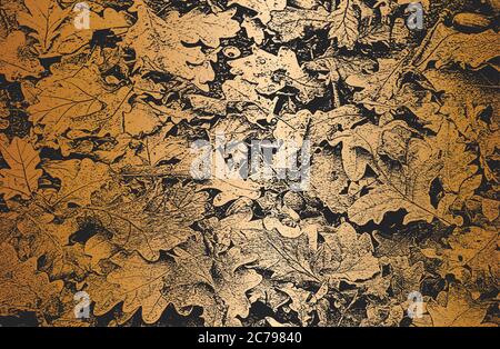 Distressed overlay golden wooden leaf macro texture with streaks. Stock Vector