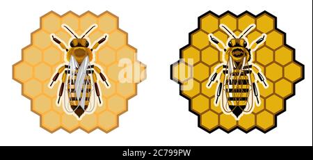 Logo of a company selling bee products: honey, wax, poison, propolis. Sign apiary, beekeeper. Realistic bee on a honeycomb. Trademark, enterprise Stock Vector