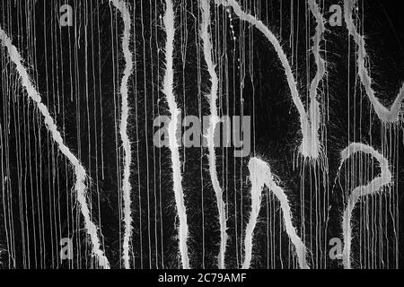 Abstract white paint dribbles splash on a black painted wall, high contrast lines drip background. Stock Photo