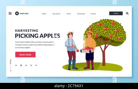 Fall harvesting and agriculture farming concept. Happy young man and woman picking ripe red apples into basket in fruit garden. Vector flat cartoon pe Stock Vector
