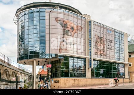 Battersea Dogs & Cats Home on Battersea Park Road, London. Stock Photo