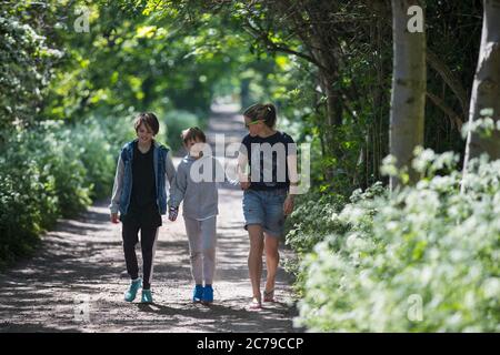 Mother and sons walking on sunny park path Stock Photo