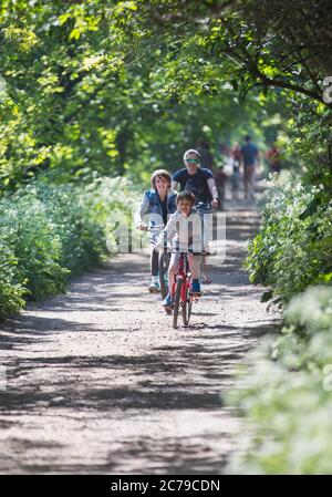 Mother and sons bike riding on sunny park path Stock Photo