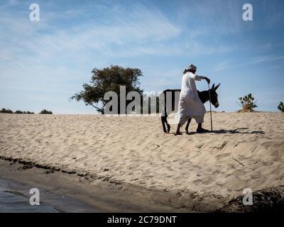 a traditional nubian man guiding a donkey on the beach of river nile Stock Photo