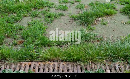 Background of old rusty metal drain grid beside patchy grass Stock Photo