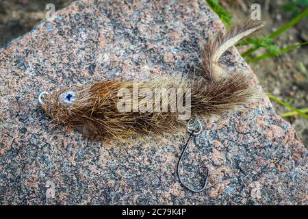 A mouse pattern fly used for fishing for big trout and tiamen on a rock Stock Photo