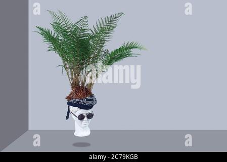 From an antique head in a bandana and glasses grows a fern on a gray background. Stock Photo