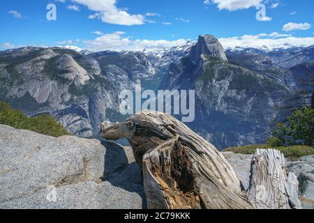 A beautiful summer landscape in Yosemite National Park. California ...