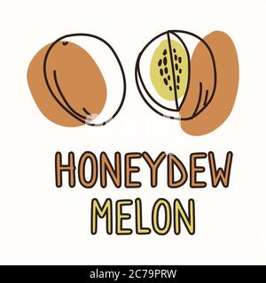 Honeydew melon fruit with text gender neutral baby illustration clipart. Simple whimsical minimal earthy 2 tone color. Kids nursery room decor print Stock Vector