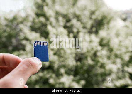 Woman hand holding a memory card on the green blurred leaves  background Stock Photo