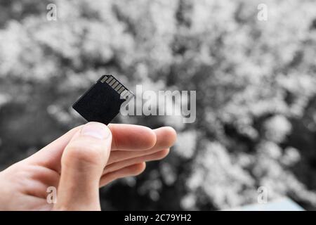 hand and finger hold SD memory card on a gray backgorund. hand holds a black memory flash card Stock Photo
