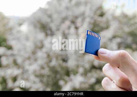 man hand holding a blue memory card with yellow connector, selective focus. Hand with SD flash card outdoors Stock Photo
