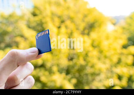 blue memory SD card in a hand of a man, green and yellow trees in a backround. Hand holds blue SD card, outdoors, selective focus Stock Photo